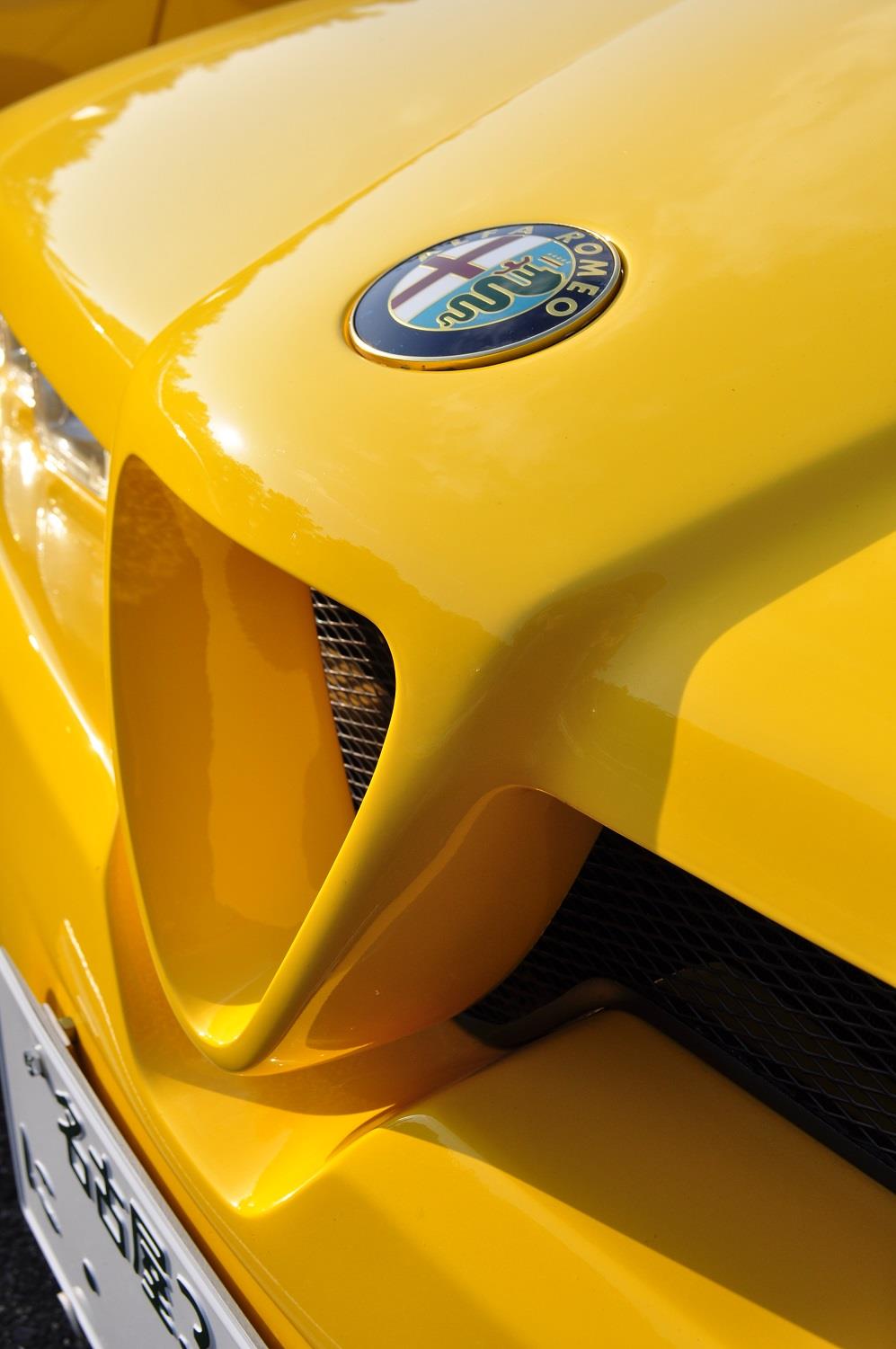 180121MAIKO (25).JPG